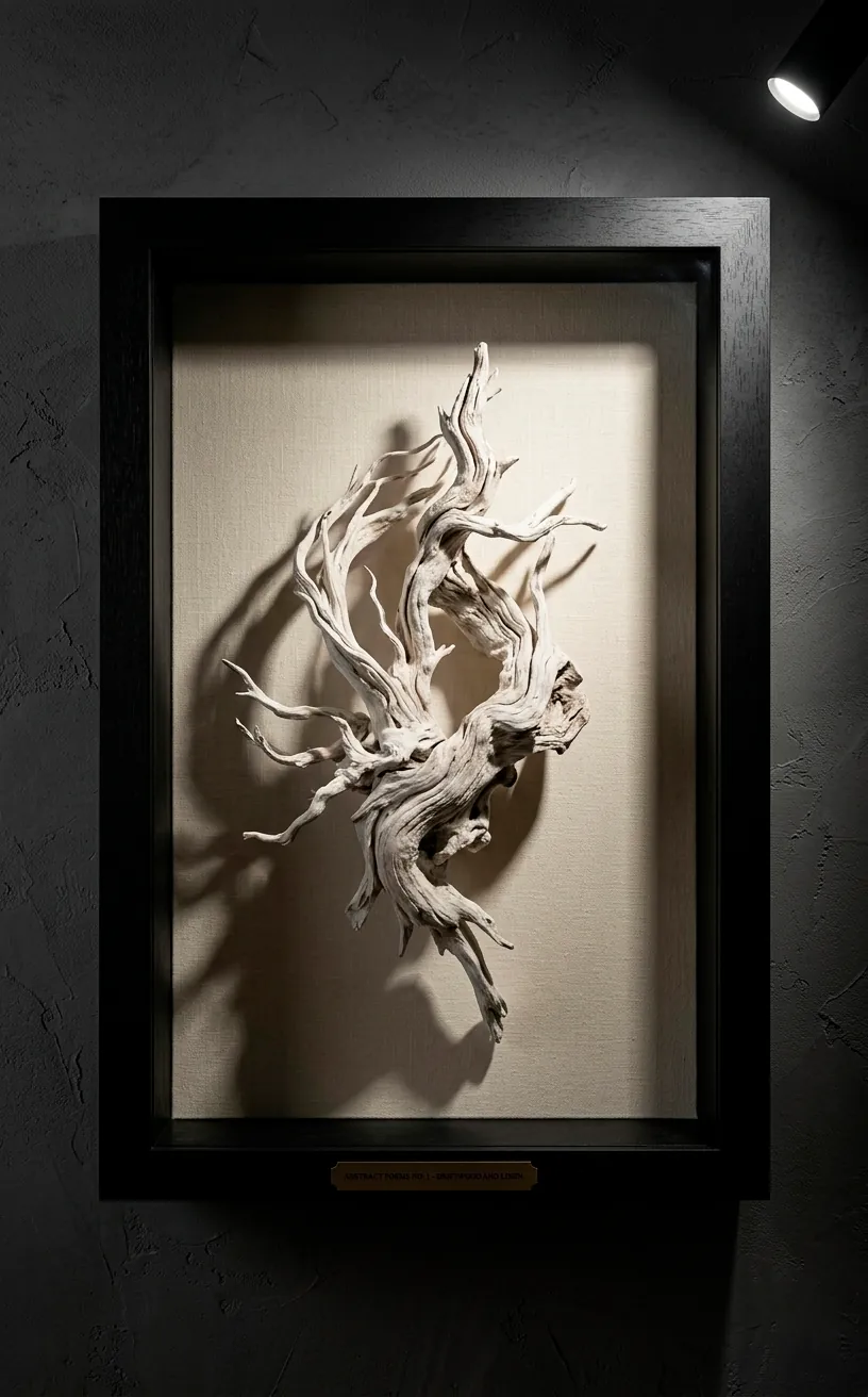 Sculptural driftwood specimen mounted in a black shadow box frame on a dark wall.