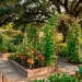 Wide landscape of a bountiful heirloom vegetable garden with diverse plant layouts and golden hour sun.