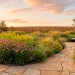 Wide panoramic view of a low-maintenance backyard featuring native wildflowers and a stone patio.