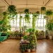 Lush indoor jungle in a sun-drenched studio apartment with diverse houseplants and modern decor.