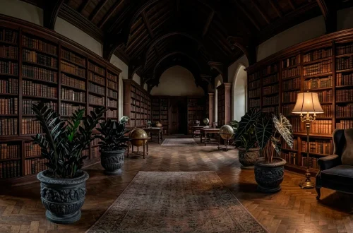 Wide panoramic shot of a dark gothic library filled with books and moody black leaf houseplants.