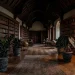 Wide panoramic shot of a dark gothic library filled with books and moody black leaf houseplants.