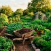 A rustic wheelbarrow filled with rich dark compost surrounded by healthy blooming vegetable plants in a backyard garden.