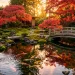 Lush Japanese Zen pond in a backyard featuring a wooden bridge, smooth rocks, and red maple trees at golden hour.
