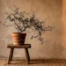 Wabi-sabi interior styling featuring an asymmetrical houseplant in a weathered terracotta pot against a textured plaster wall