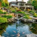 A stunning sloped backyard transformed into a terraced koi pond with cascading waterfalls and lush greenery.