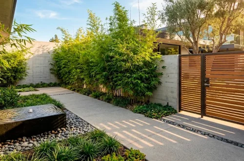 Modern courtyard entryway with sleek concrete pavers, bamboo planters, and a teak slatted gate