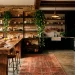 Warm modern industrial kitchen featuring wood accents, vintage rugs, and lush greenery softening harsh metal lines.