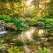 Wide view of a stunningly landscaped natural backyard pond with a slate waterfall, mossy boulders, and lush green plants.