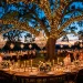 Outdoor wedding reception at twilight with fairy lights and chandeliers over dining tables