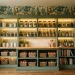 Elegant walk-in pantry decorated with vibrant botanical wallpaper and organized glass jars on shelves.