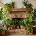 Lush indoor plants decorating a modern fireplace mantel and hearth in a cozy, sunlit living room.