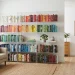 Clear acrylic bookcase in a bright small living room showcasing colorful books.