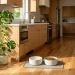 Aesthetic white ceramic pet water bowl sitting on a hardwood floor in a modern sunlit kitchen interior.
