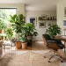 Beautiful living room corner featuring a stylish ergonomic desk chair blending with modern decor